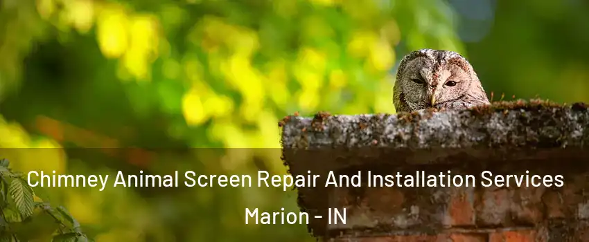  Chimney Animal Screen Repair And Installation Services Marion - IN