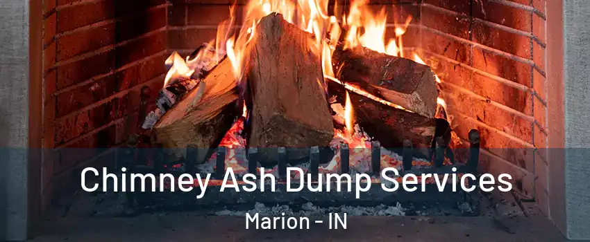  Chimney Ash Dump Services Marion - IN