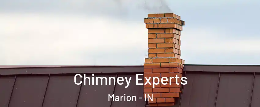 Chimney Experts Marion - IN
