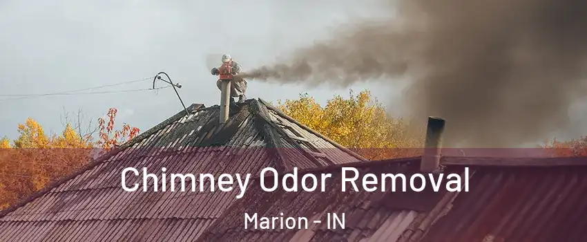  Chimney Odor Removal Marion - IN