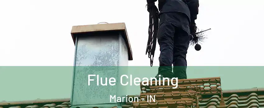 Flue Cleaning Marion - IN
