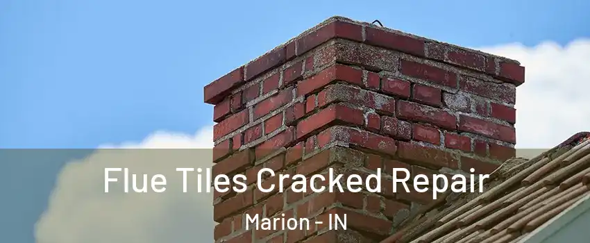  Flue Tiles Cracked Repair Marion - IN