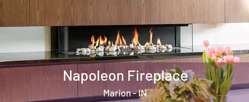  Napoleon Fireplace Marion - IN