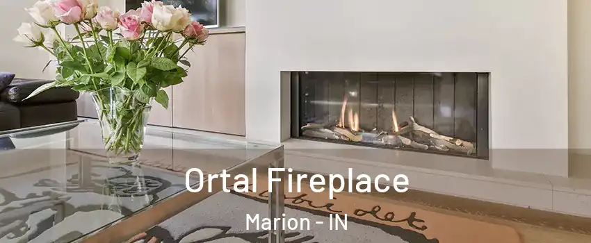 Ortal Fireplace Marion - IN